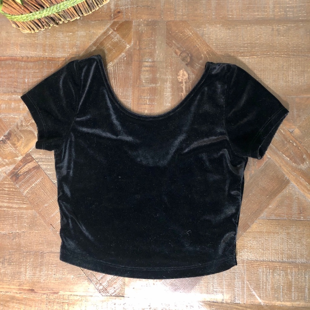 Brandy Melville Velvet Crop Top